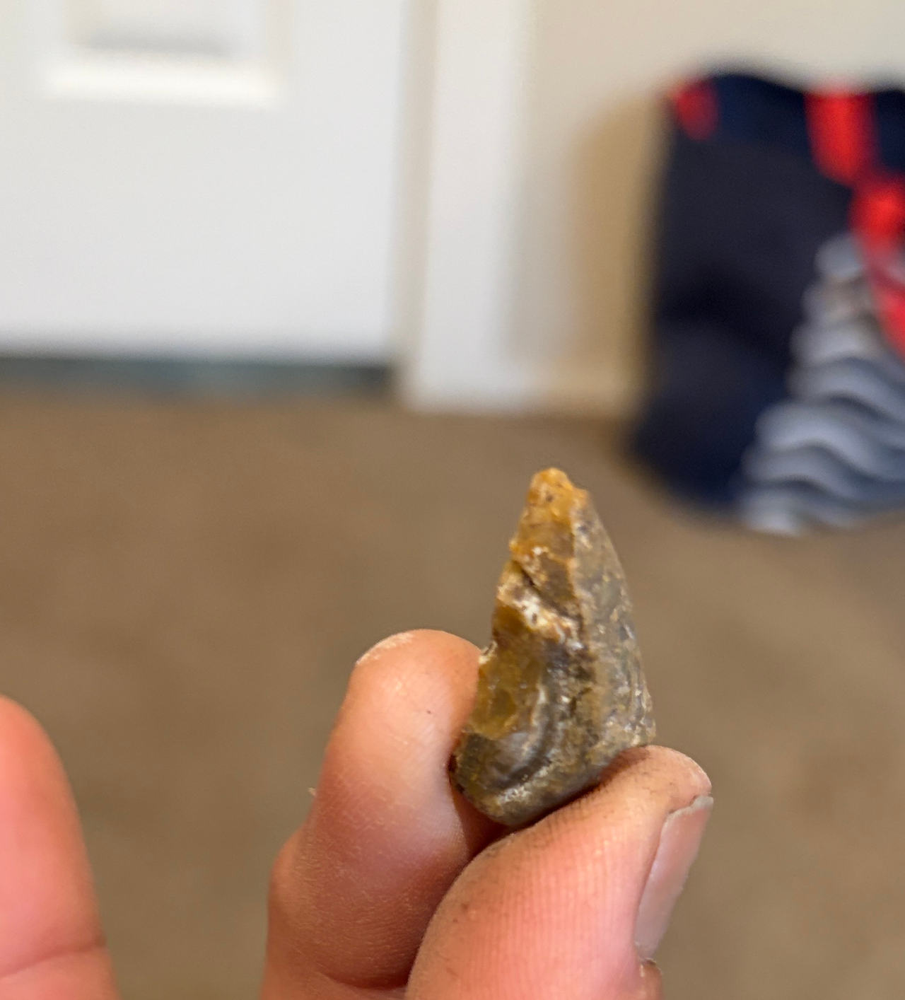 Native American Arrowhead Fragment