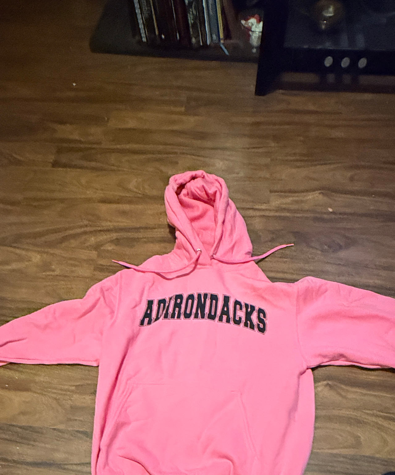 Pink Adirondacks Pullover Hoodie