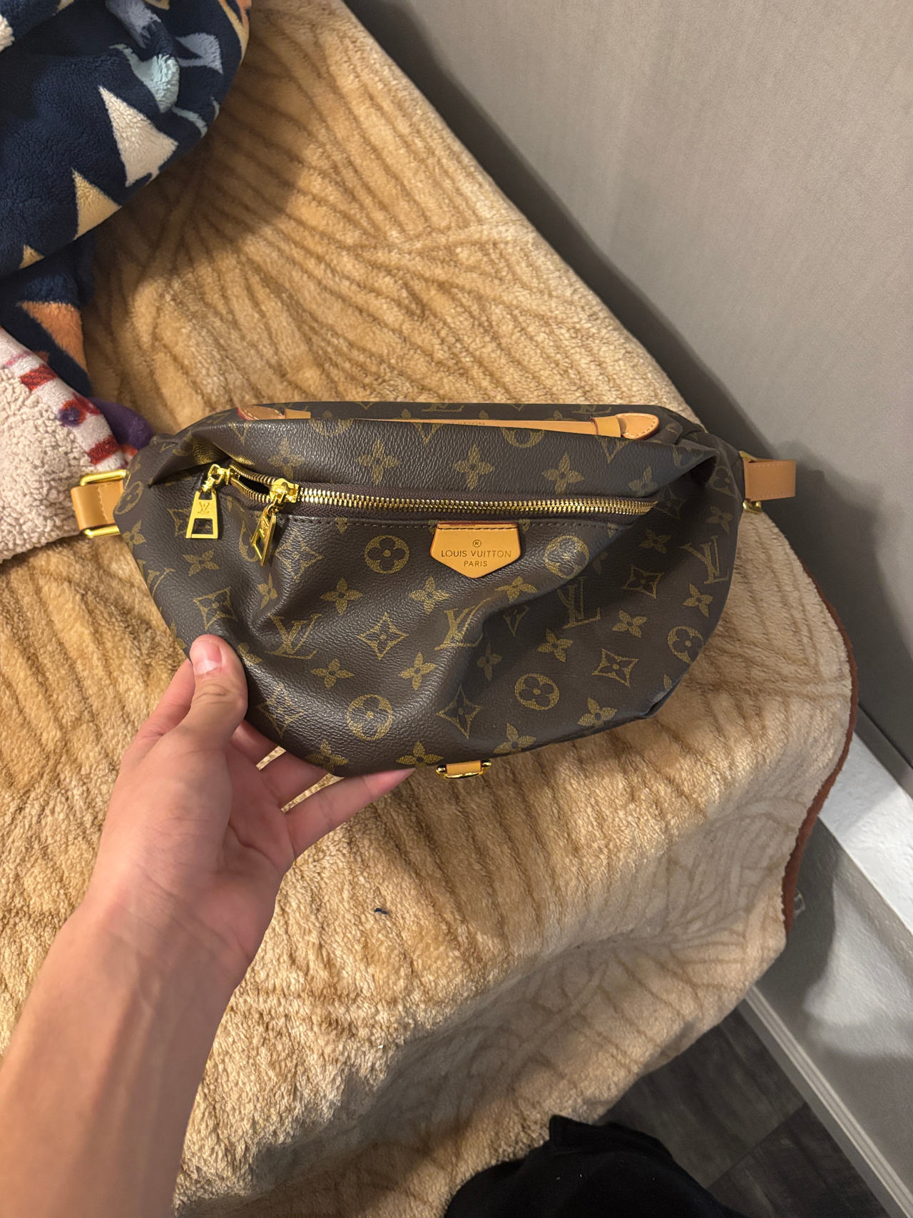 Louis Vuitton Bumbag Monogram Canvas
