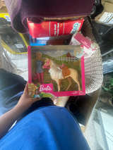 Barbie Doll and Horse Playset - Image 1