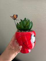 Marvel Spider-Man Mask Ceramic Planter with Artificial Succulent - Image 2