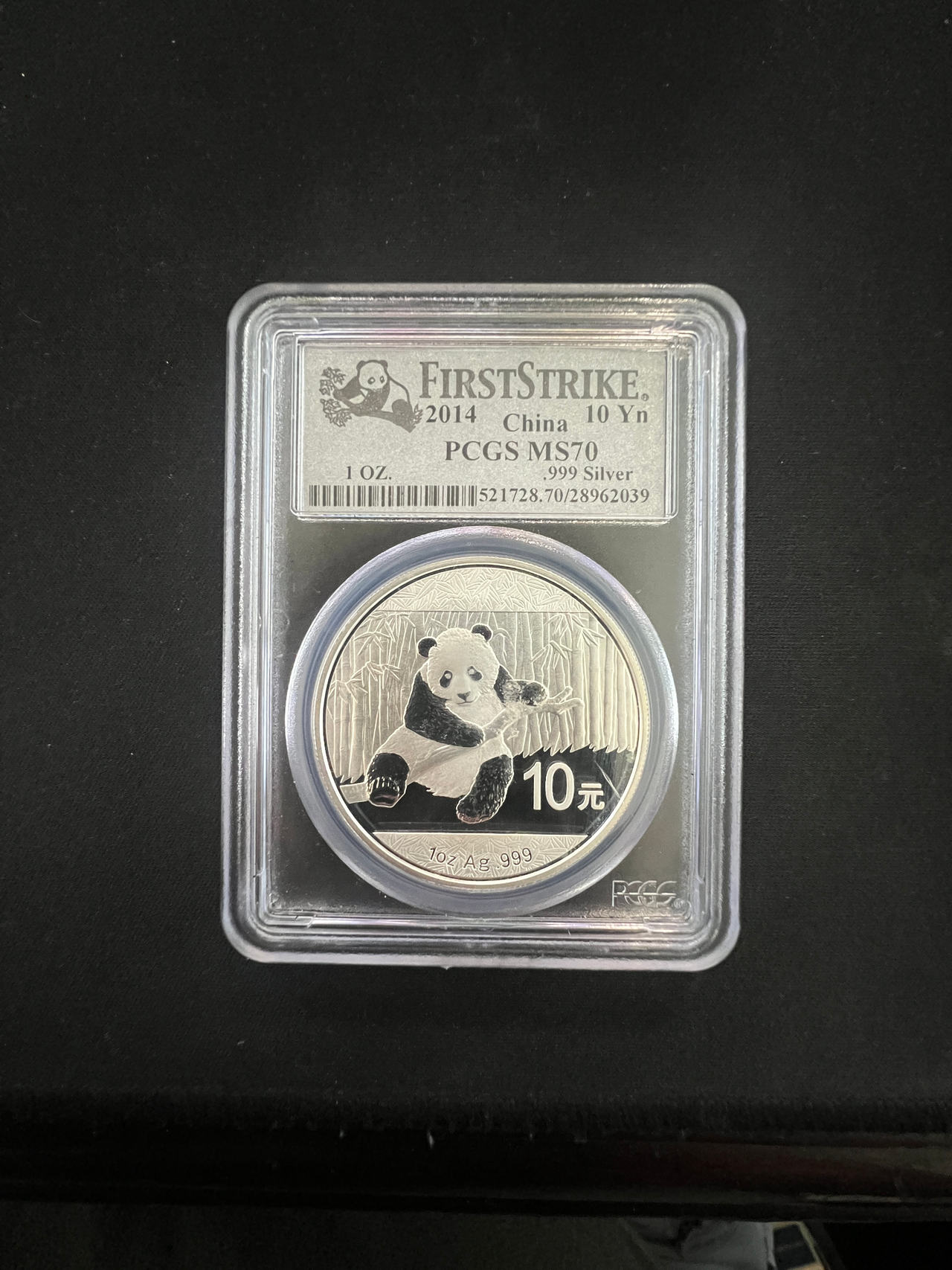 2014 China Silver Panda 10 Yuan Coin
