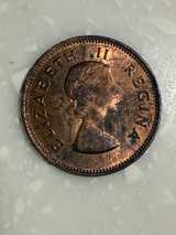 1955 South Africa 1/2 Penny Coin E18 - Image 2