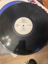 Grateful Dead - Steal Your Face - Image 7