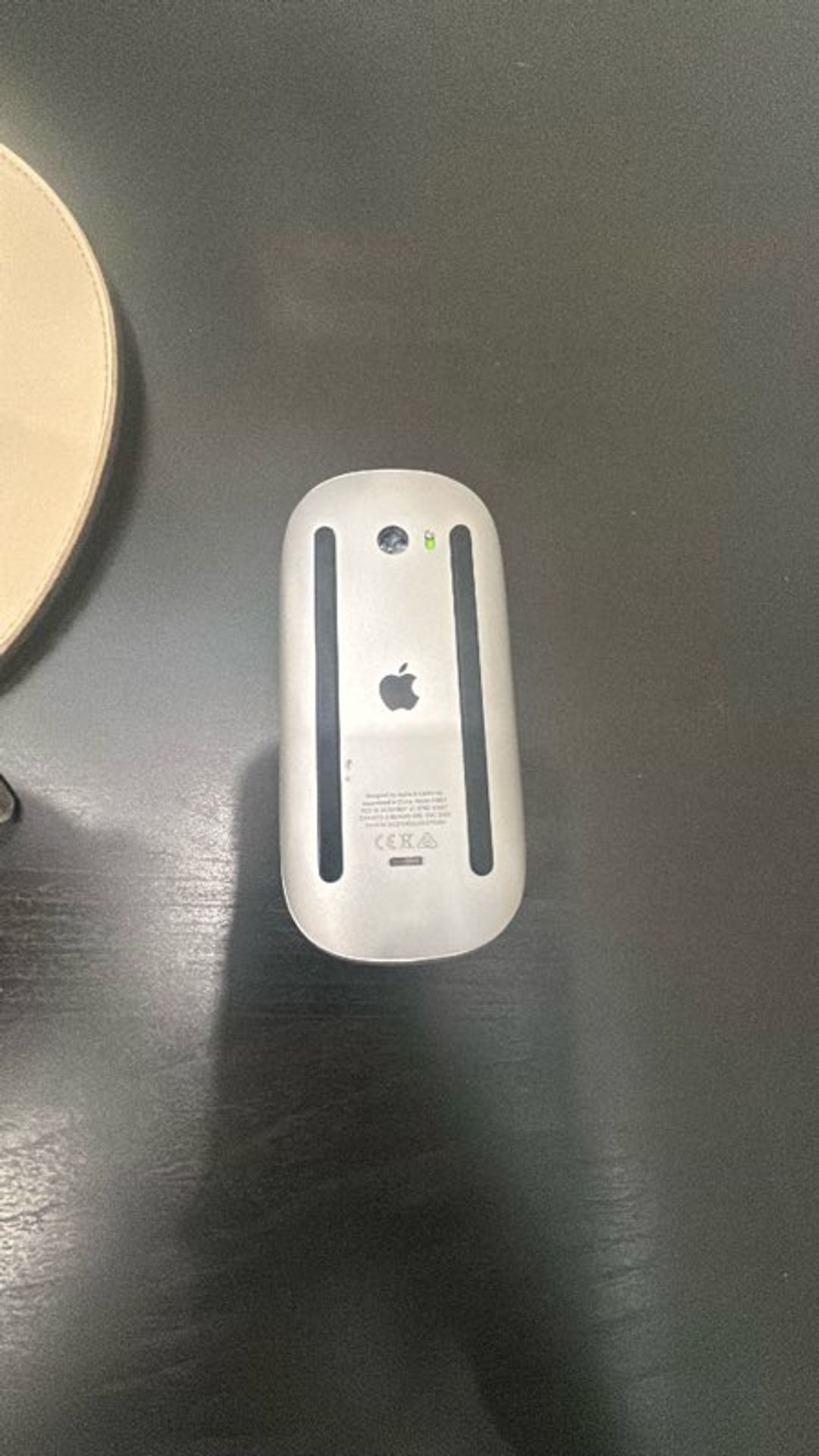 Apple Magic Mouse