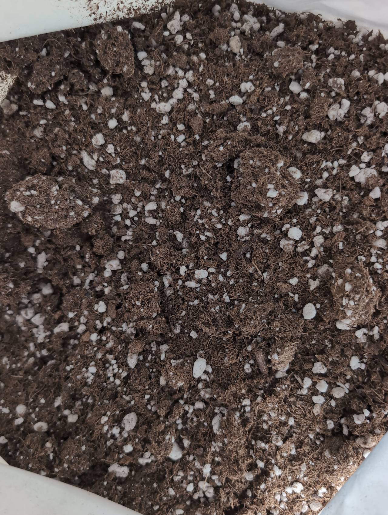 Rogue Farmers Premium Soil Potting Mix 1.5 cu ft