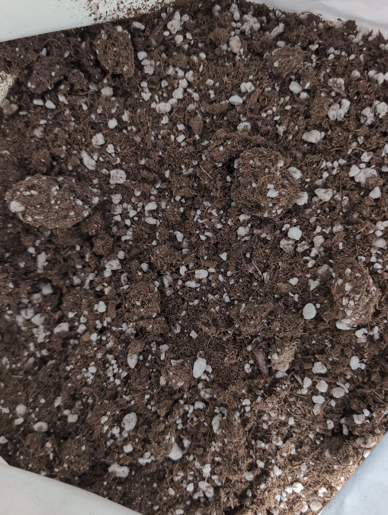 Rogue Farmers Premium Soil Potting Mix 1.5 cu ft
