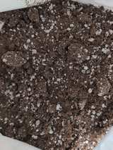 Rogue Farmers Premium Soil Potting Mix 1.5 cu ft - Image 1