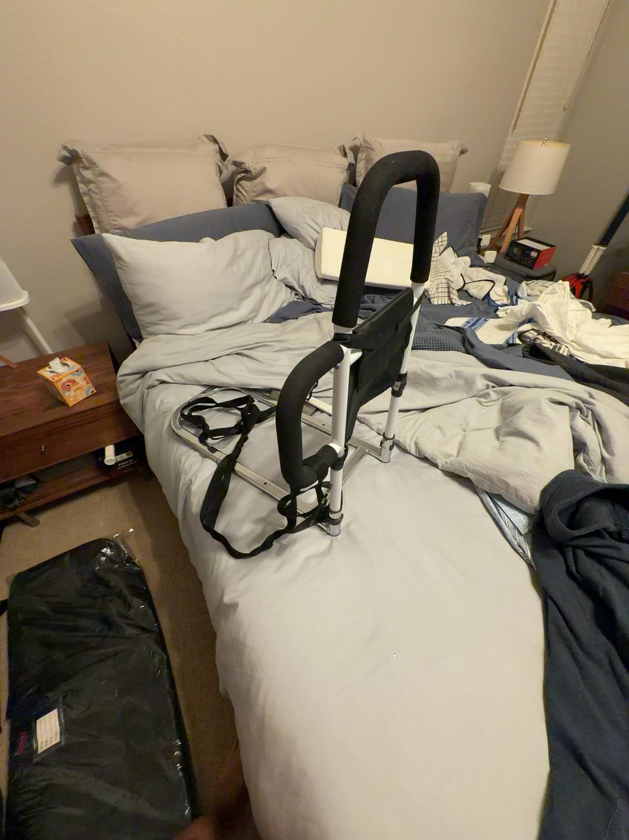 WHOMEC Bed Assist Rail with Dual Grab Bars for Elderly