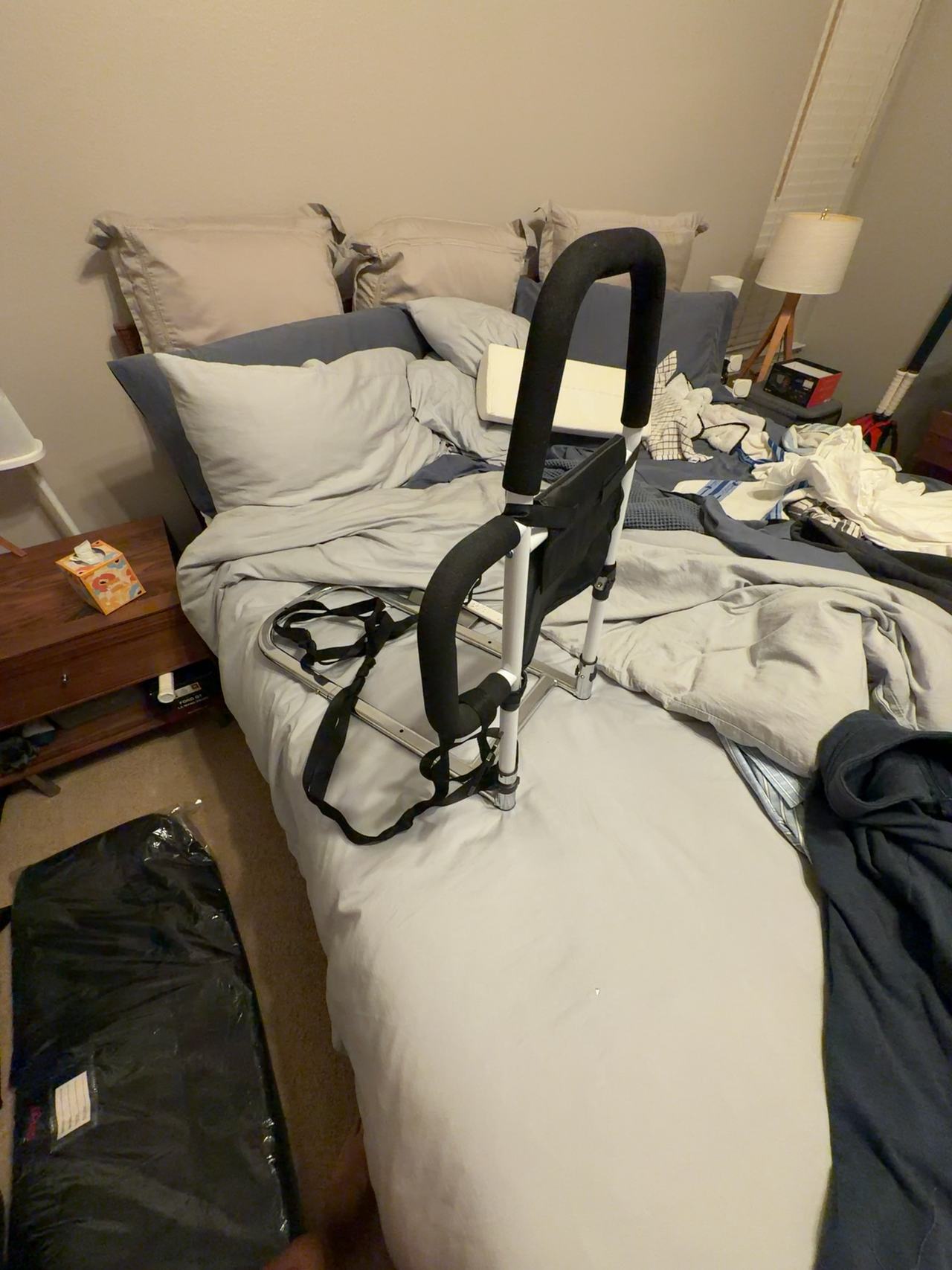 WHOMEC Bed Assist Rail with Dual Grab Bars for Elderly