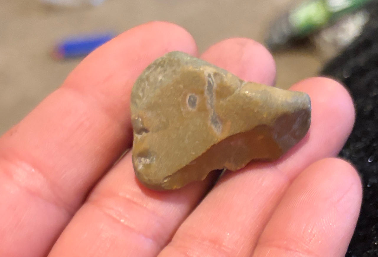 Stone Artifact Flake