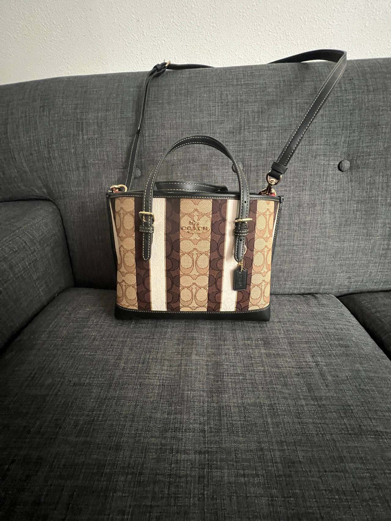 Coach Signature Stripe Mini Tote