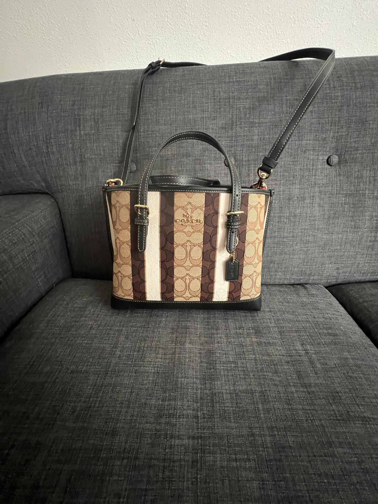 Coach Signature Stripe Mini Tote