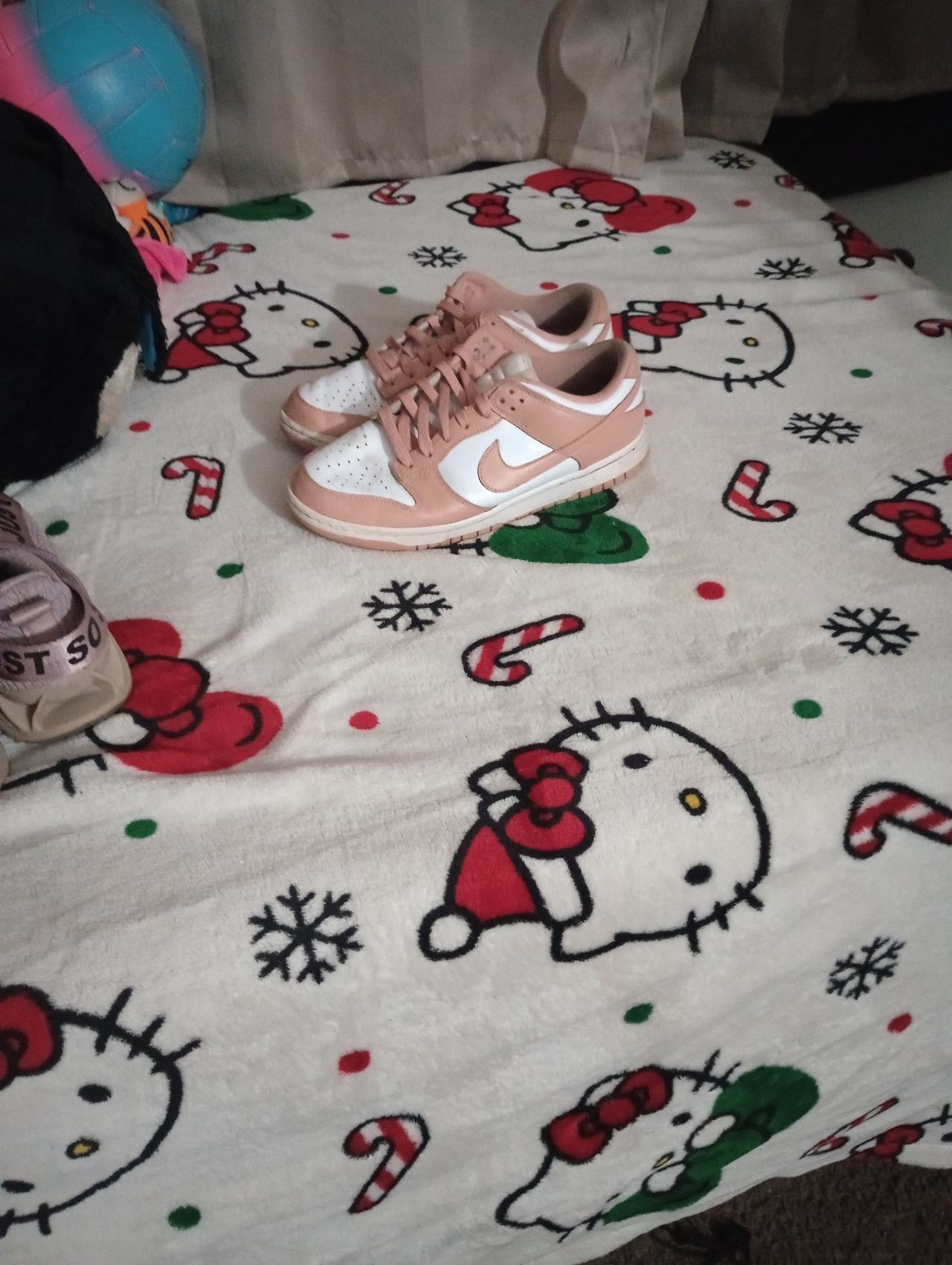 Nike Dunk Low Rose Whisper (W)