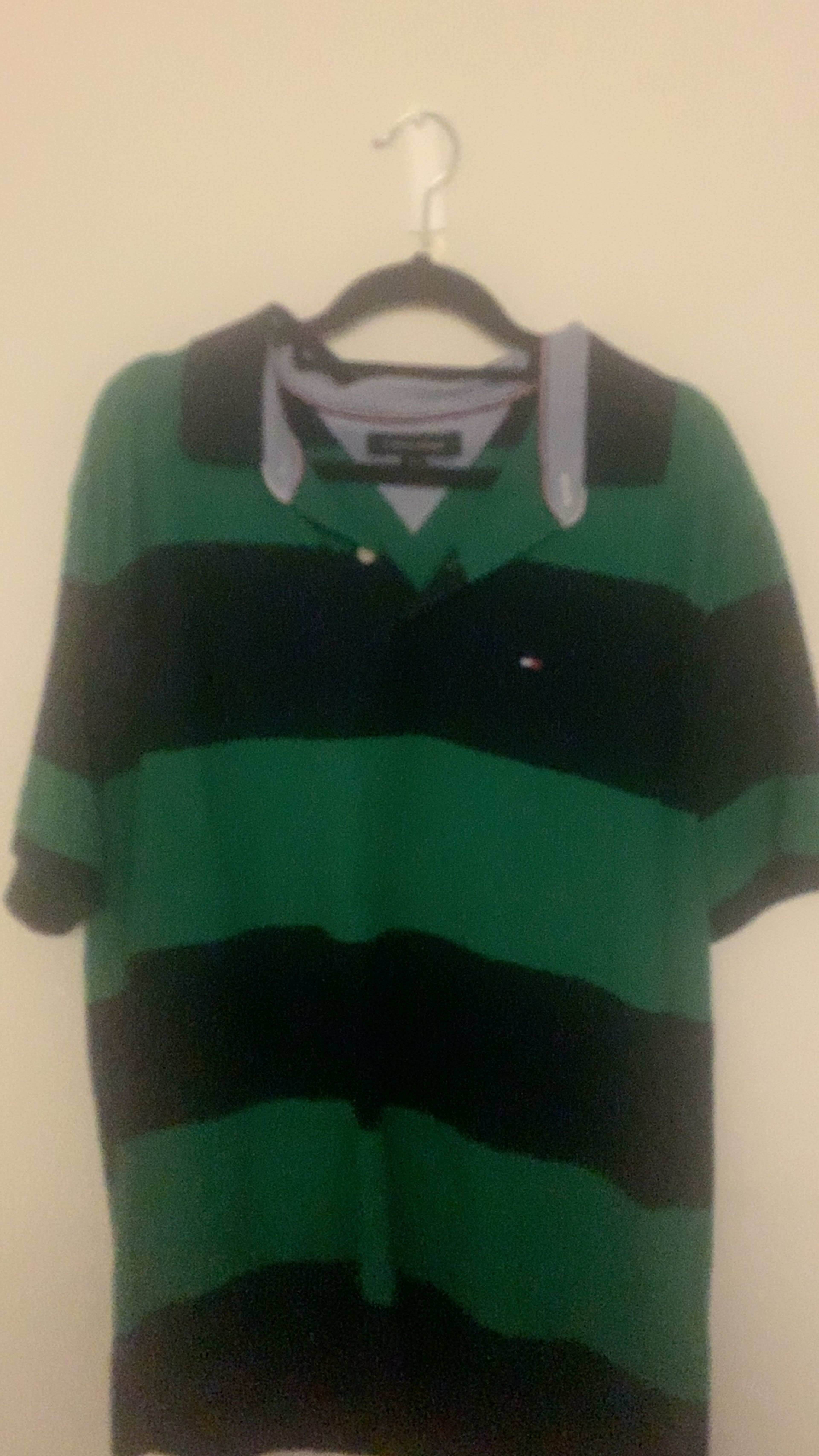 Tommy Hilfiger Green Striped Polo Shirt