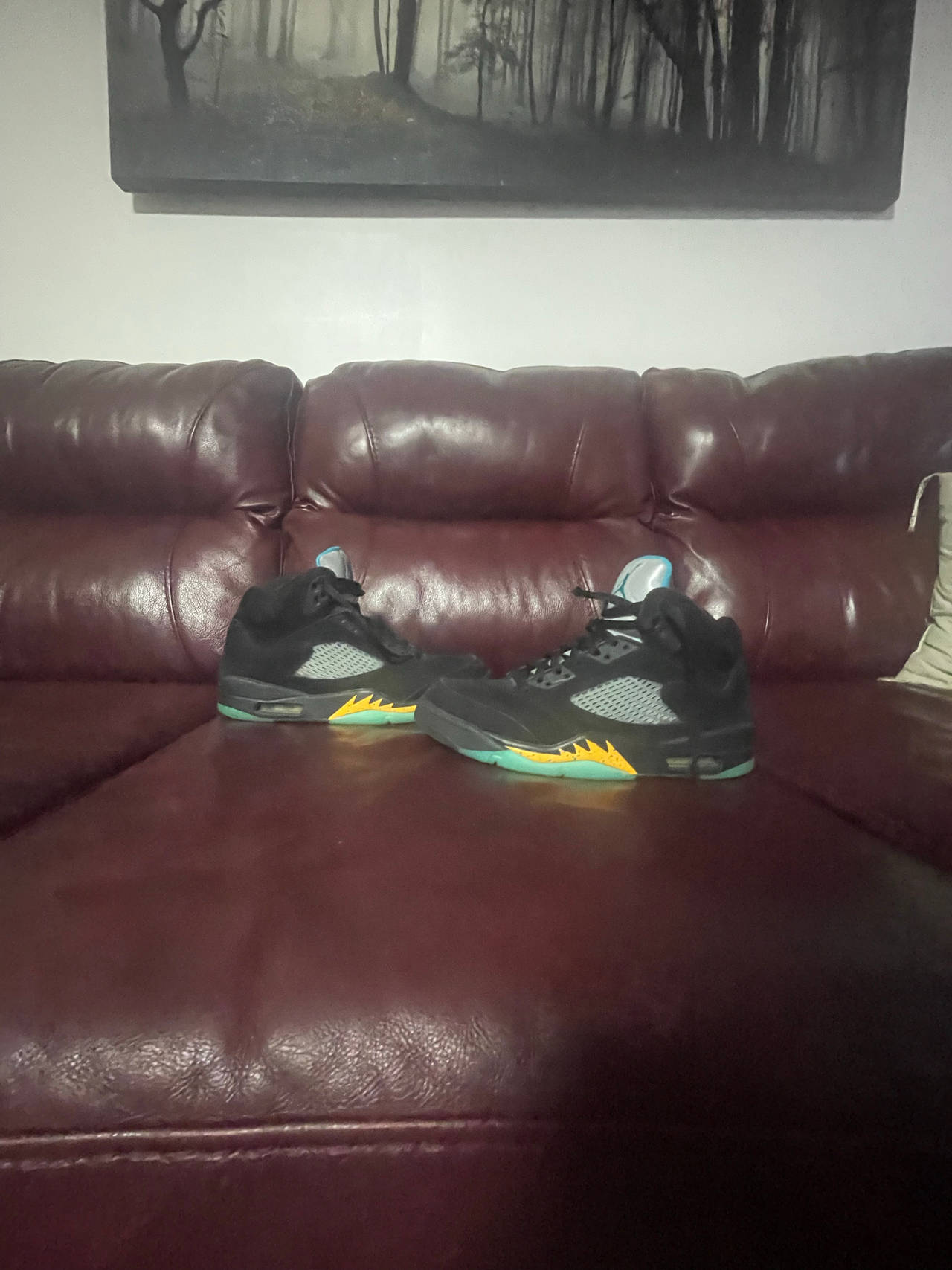 Air Jordan 5 Retro