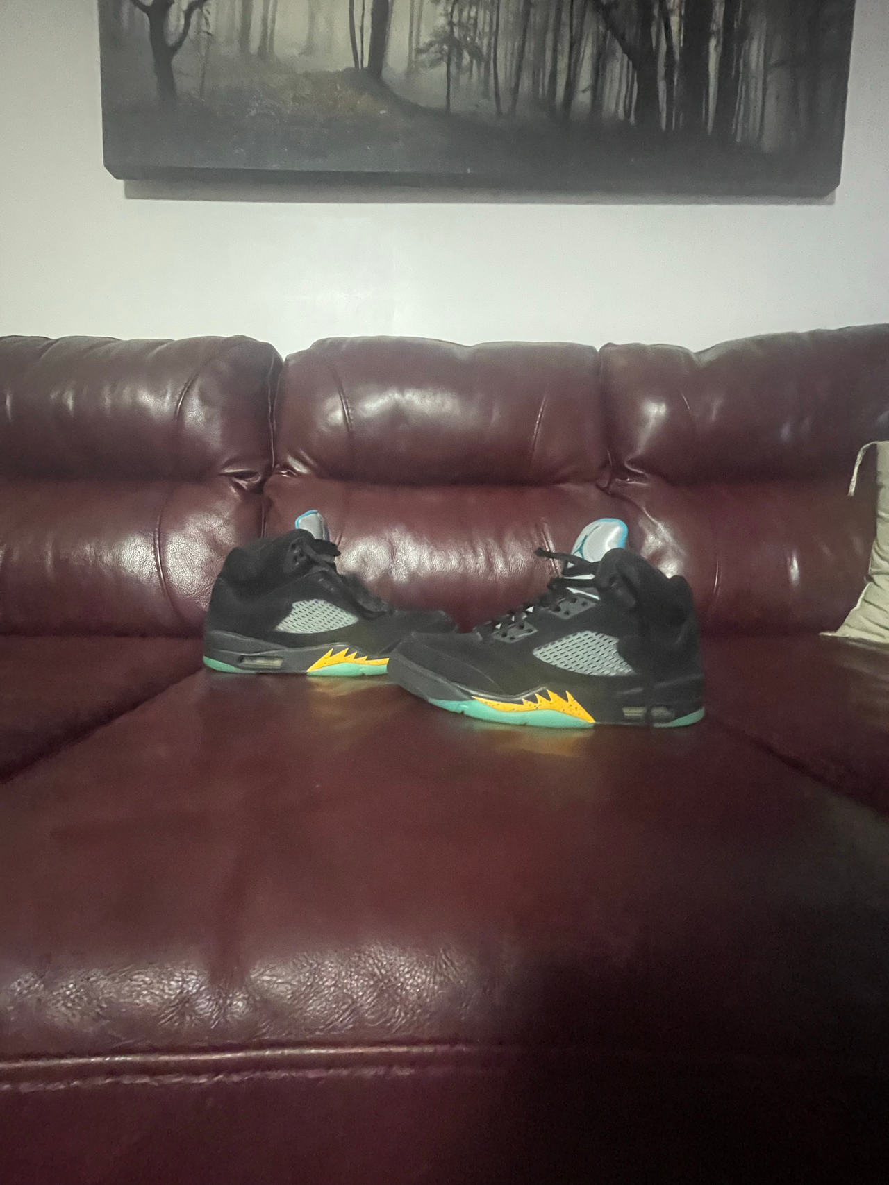 Air Jordan 5 Retro