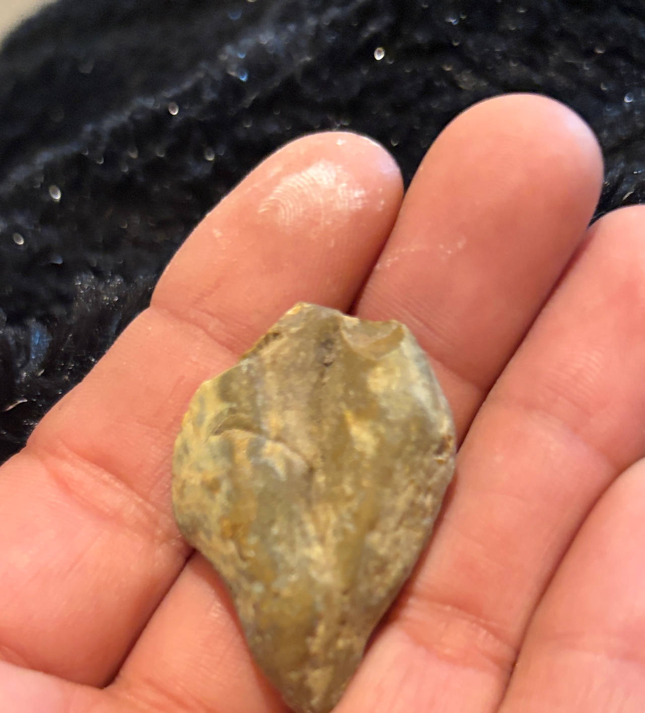 Native American Stone Scraper Artifact