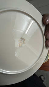Lenox Holiday Gold Trimmed Christmas Dinner Plate Set of 25pcs - Image 7