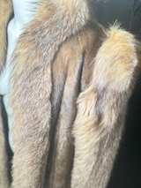 Red Fox and mink  - Image 3