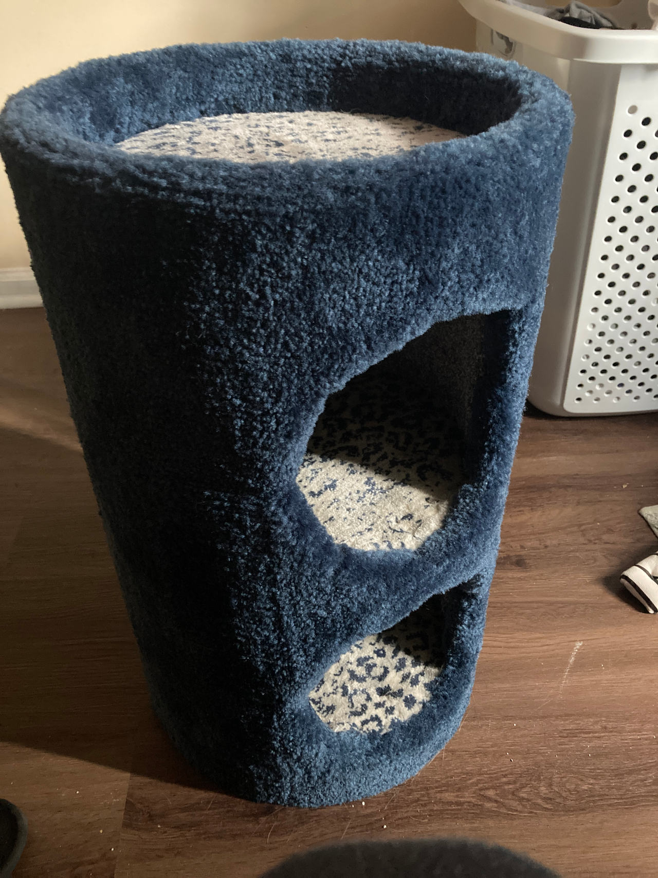 Cat Condo