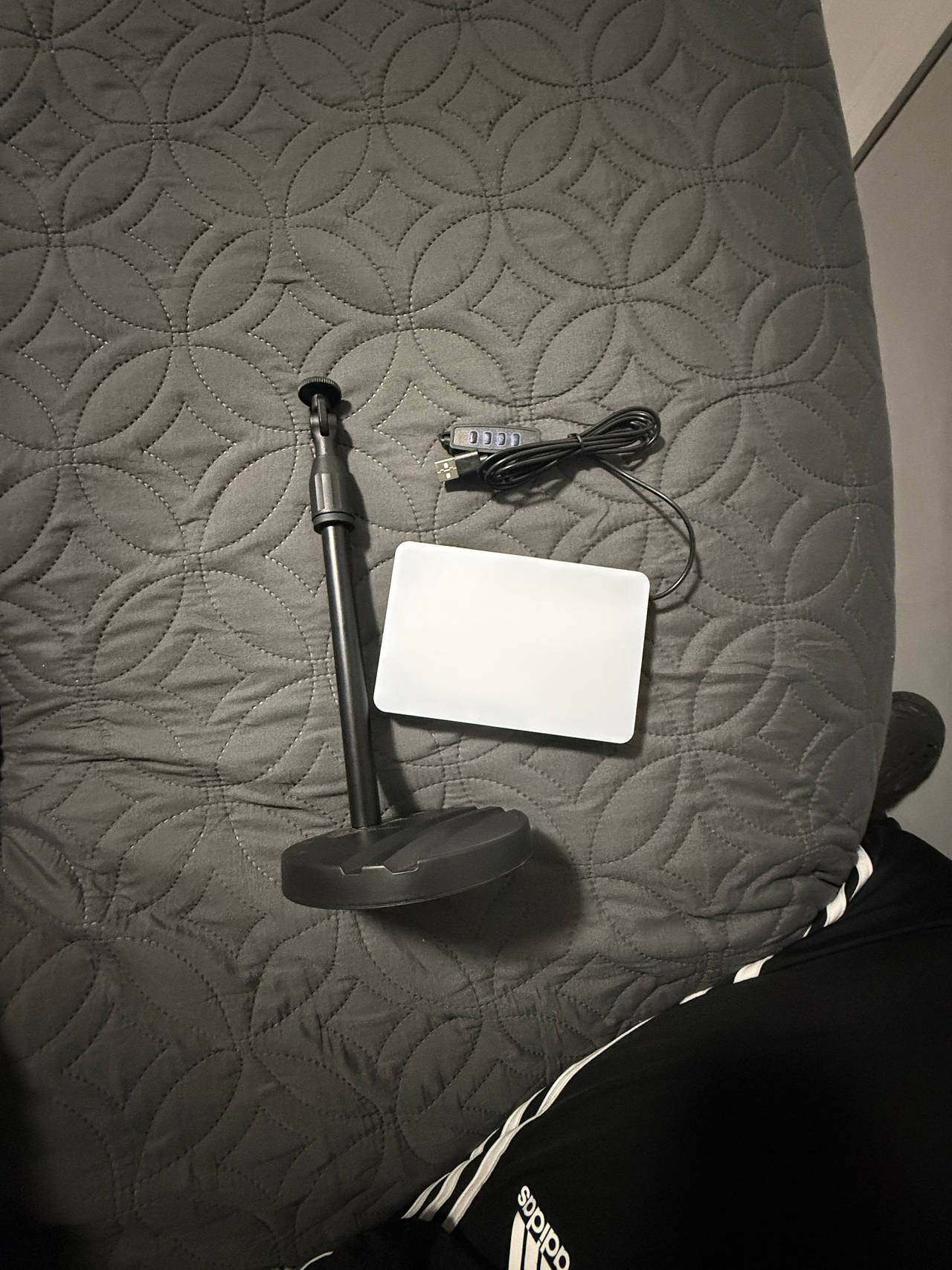 LED Desk Lamp with USB