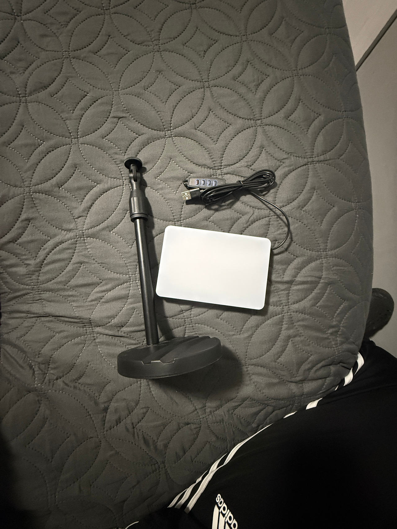 LED Desk Lamp with USB