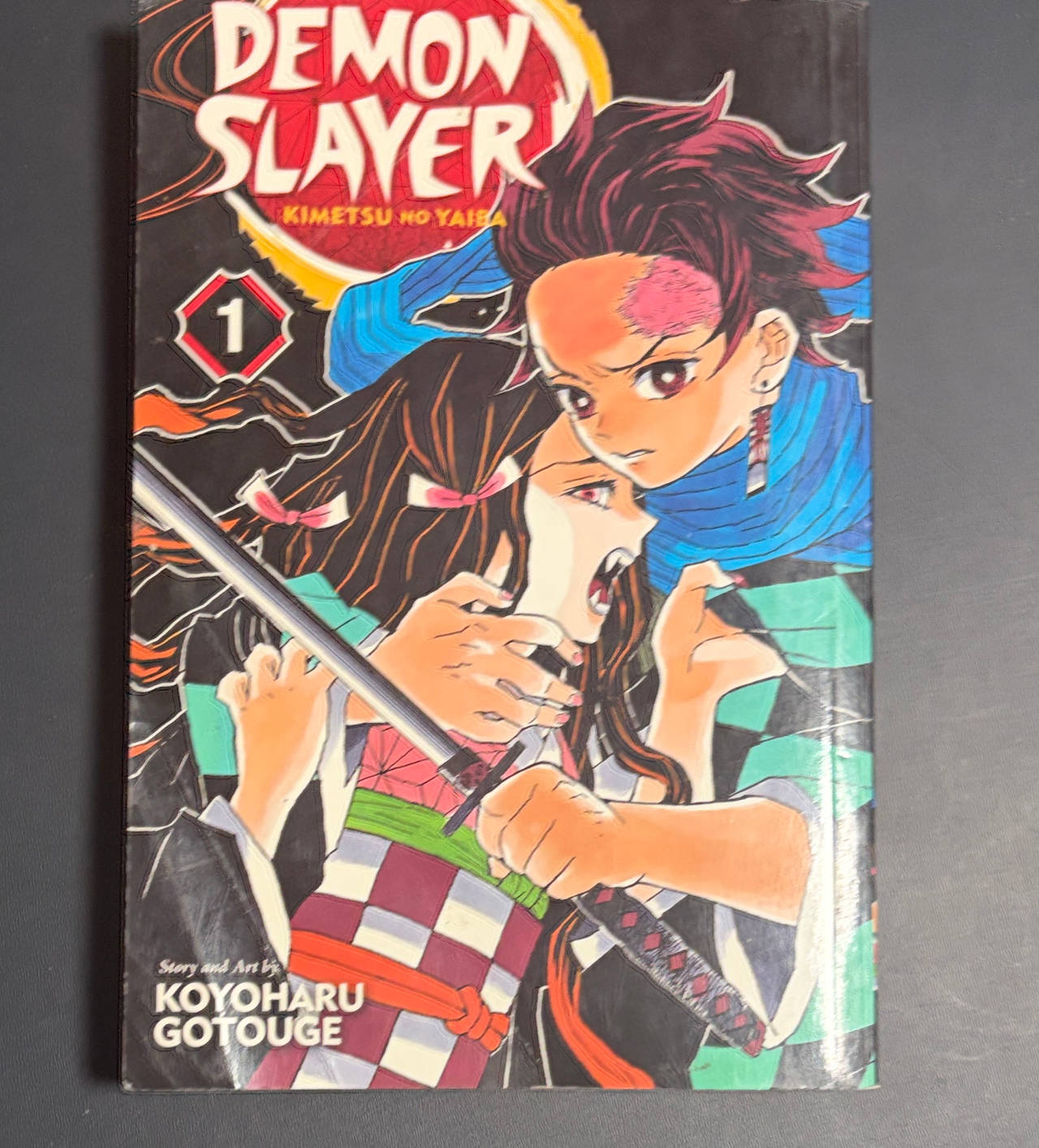 Demon Slayer: Kimetsu no Yaiba, Vol. 1