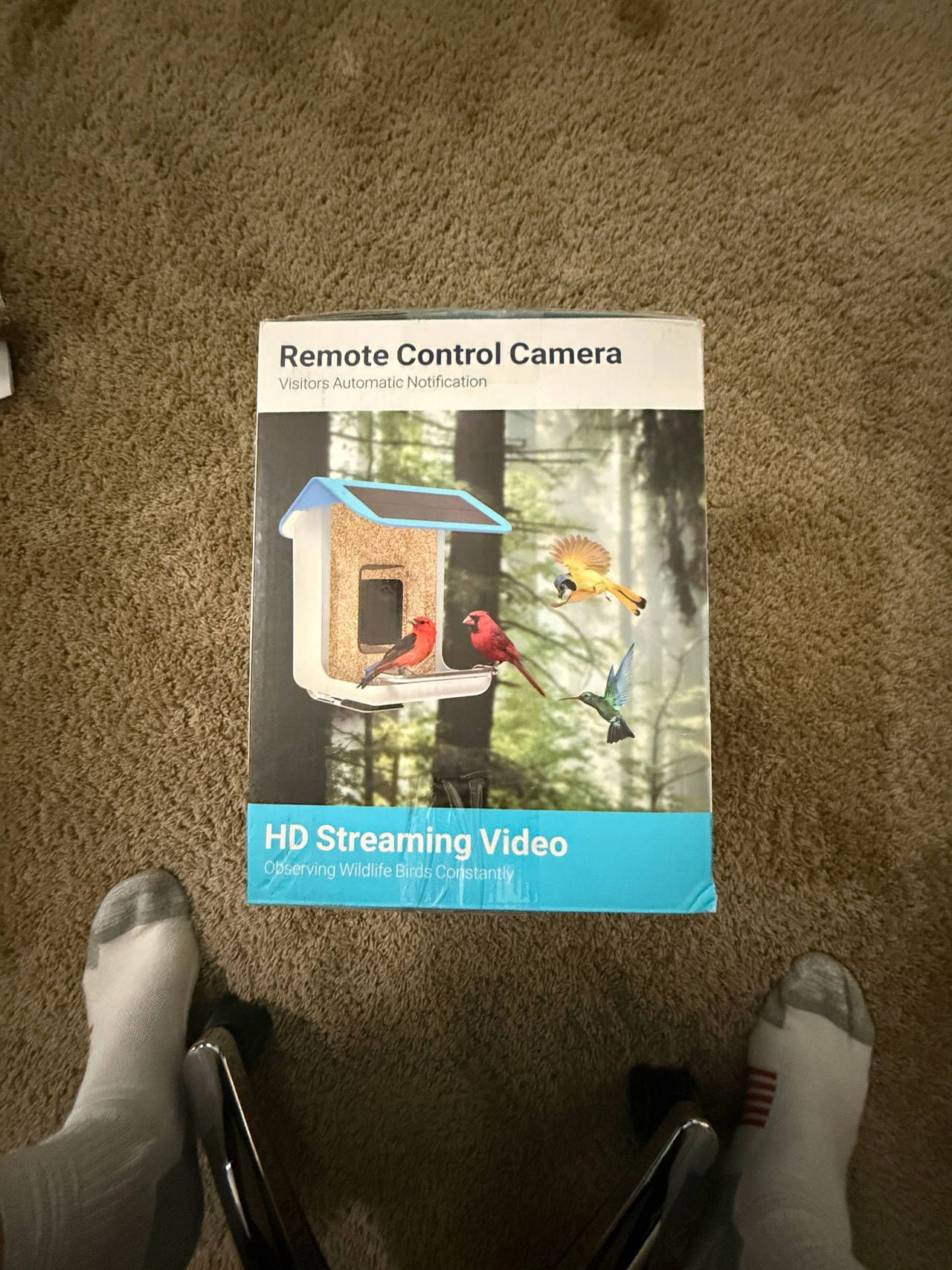 Smart Bird Feeder with Camera and Solar Panel