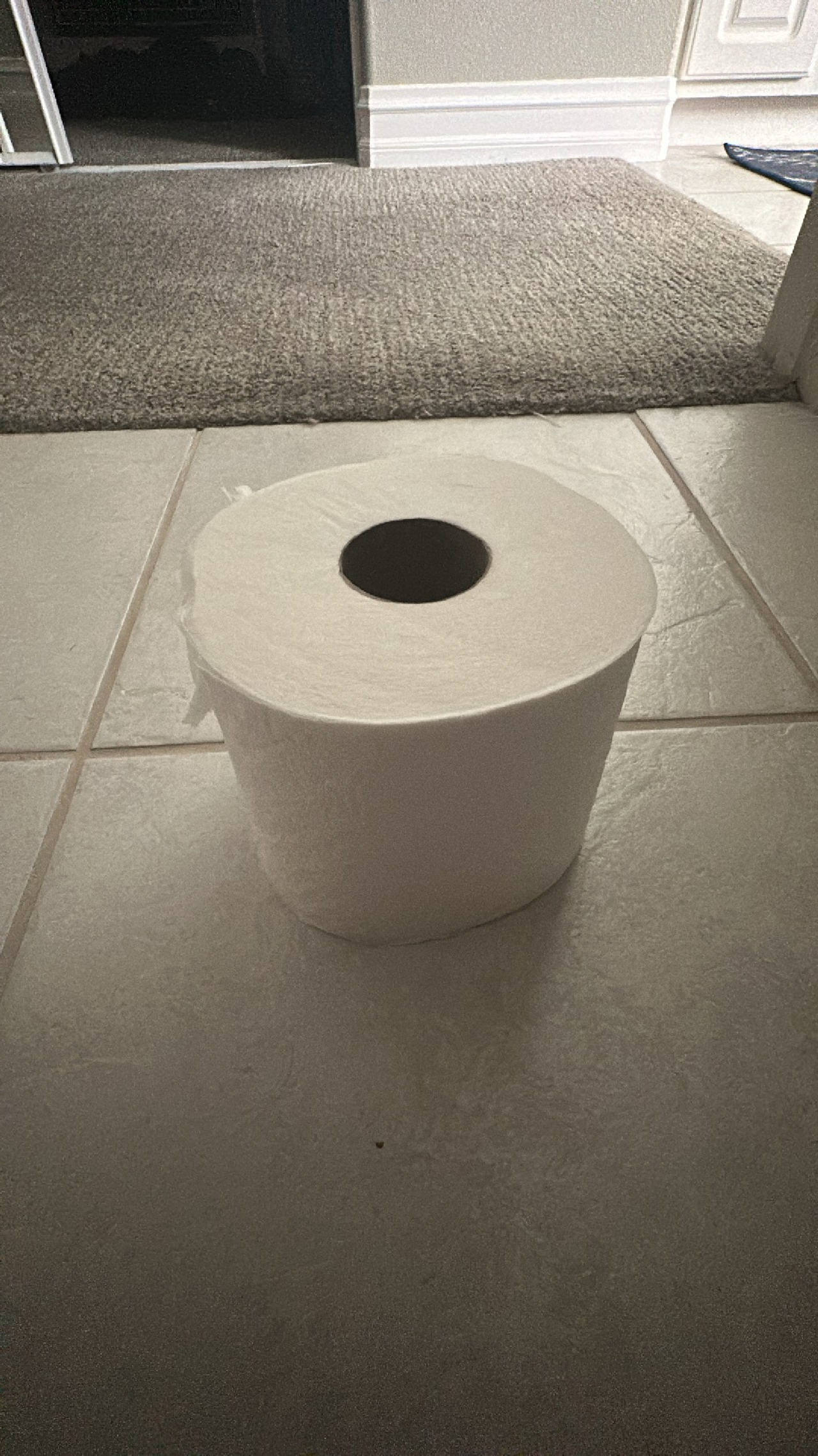 Jumbo Toilet Paper Roll