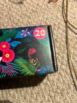 Beetles Gel Polish Kit - Image 3