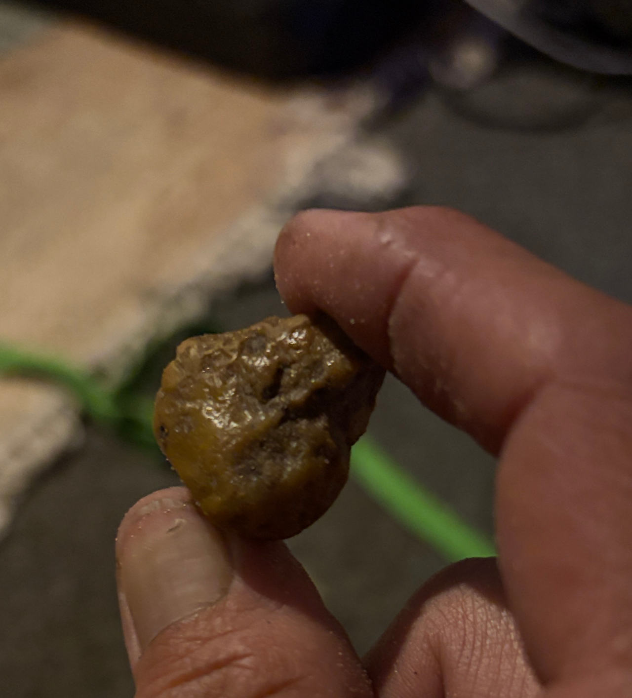 Raw Amber Stone Specimen