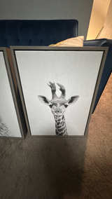 Framed Black and White Baby Animal Canvas Art Set of 4 - Image 5