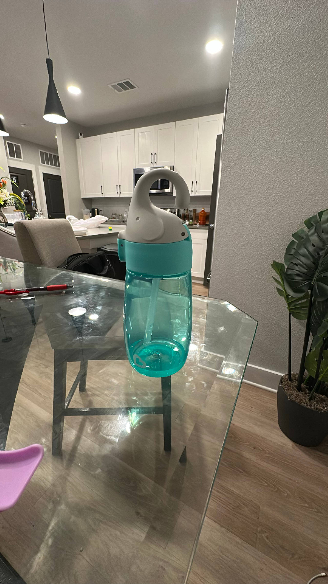 Water Bottle