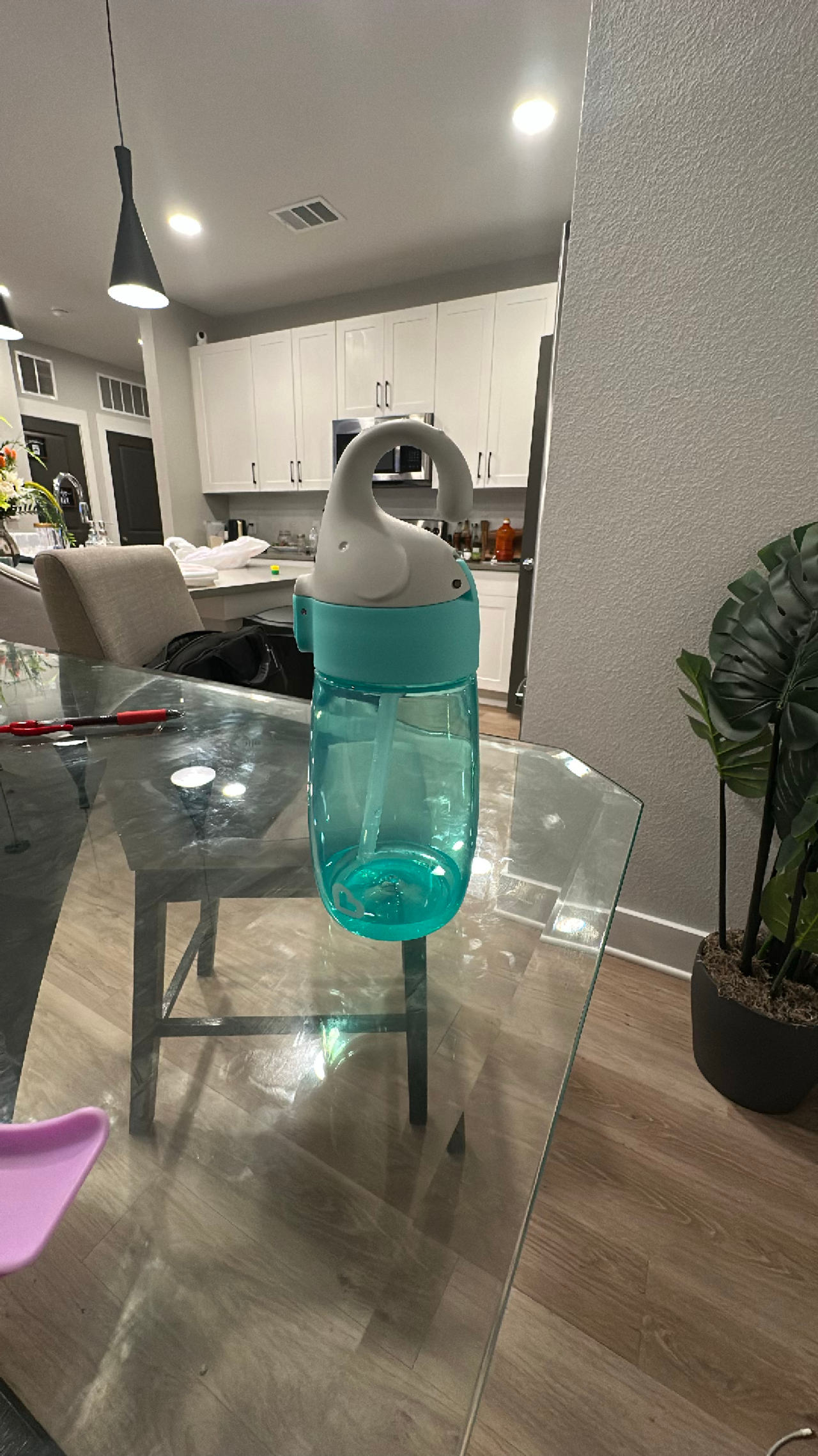 Water Bottle