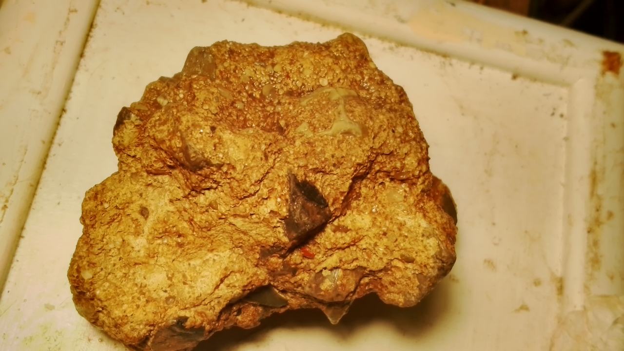Conglomerate Rock Gold  Specimen