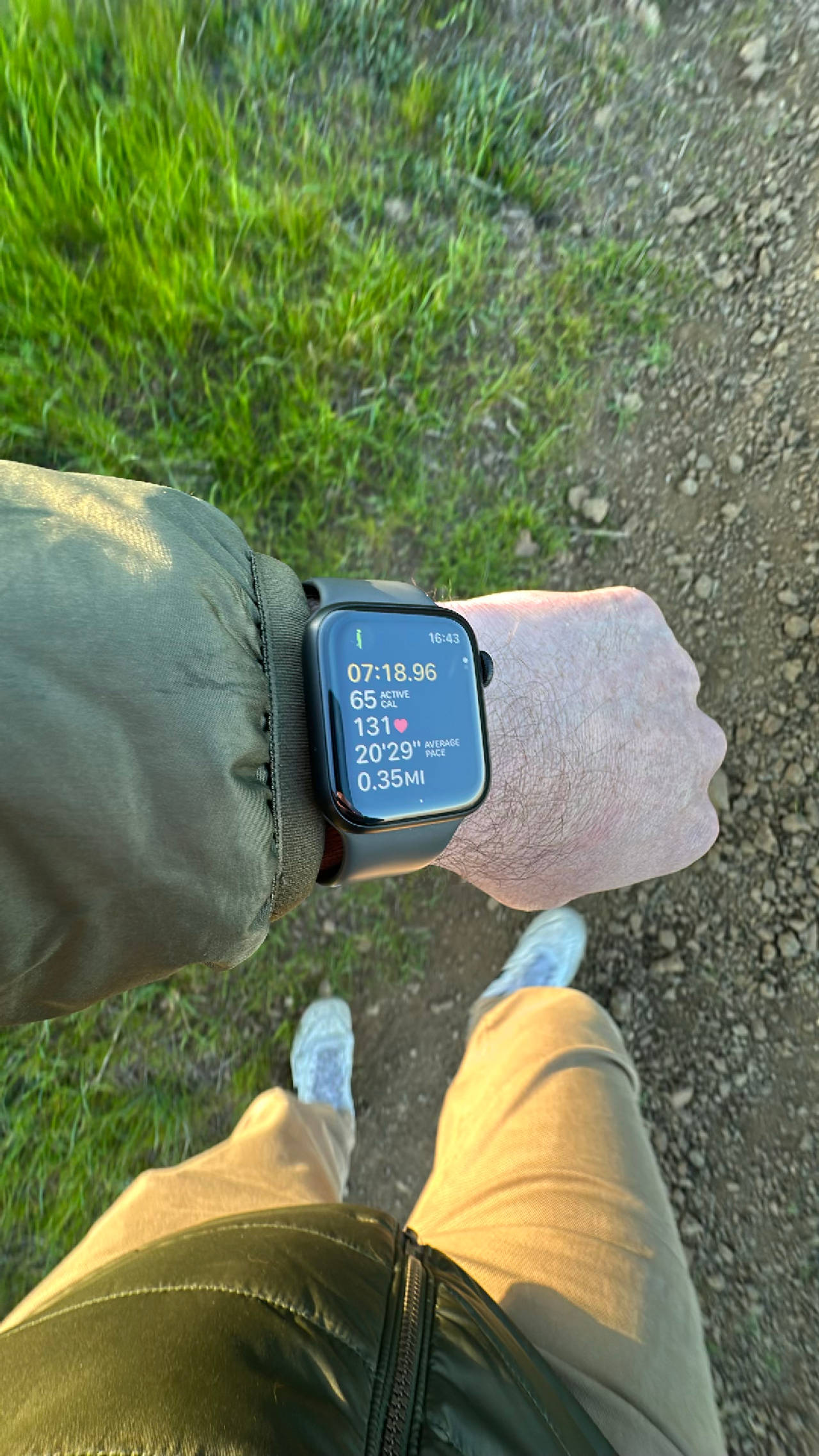 Apple Watch Series 5 - Titanium