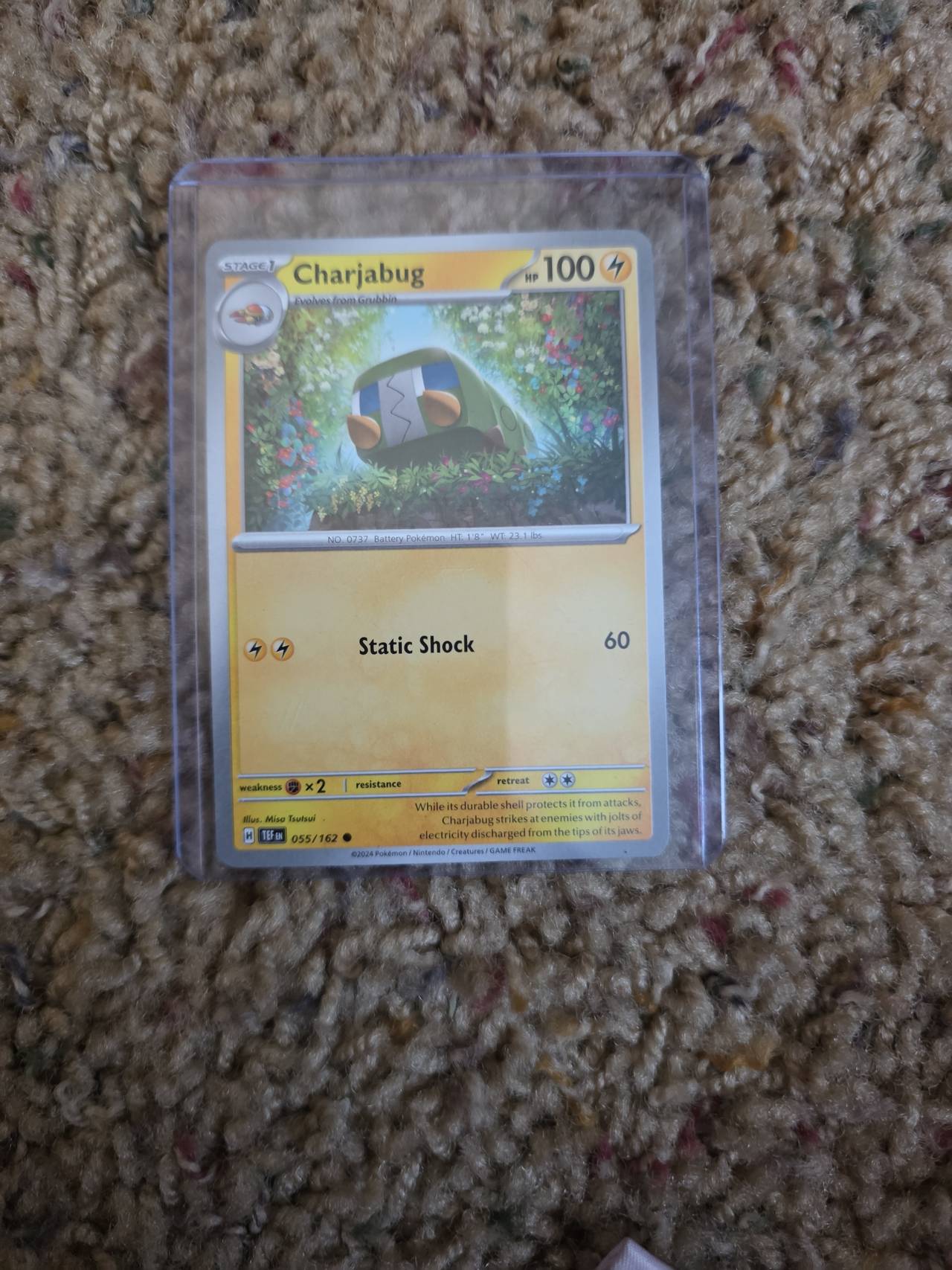 Charjabug - 055/162 - Common - Scarlet & Violet: Temporal Forces