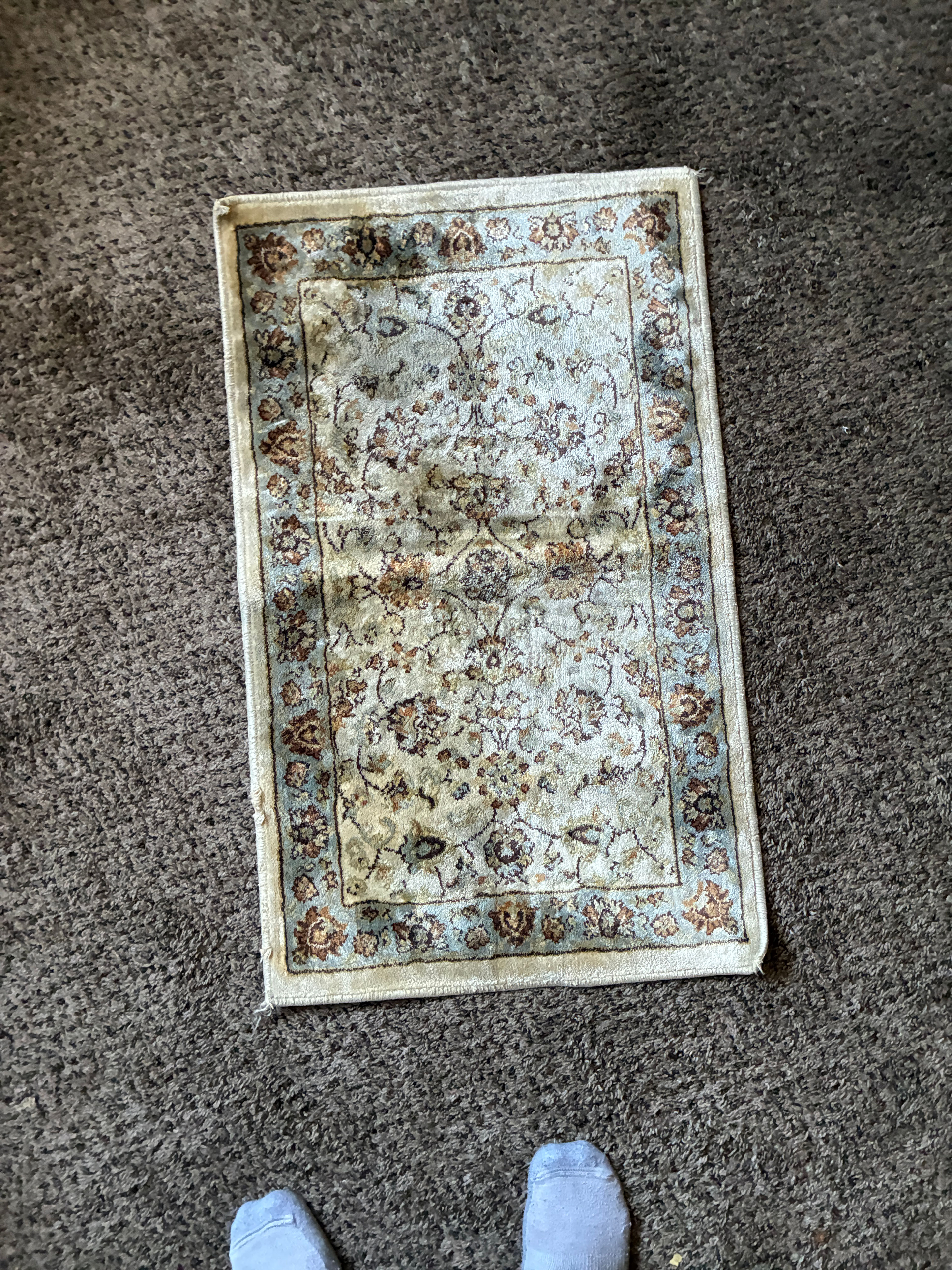 Small Traditional Floral Area Rug