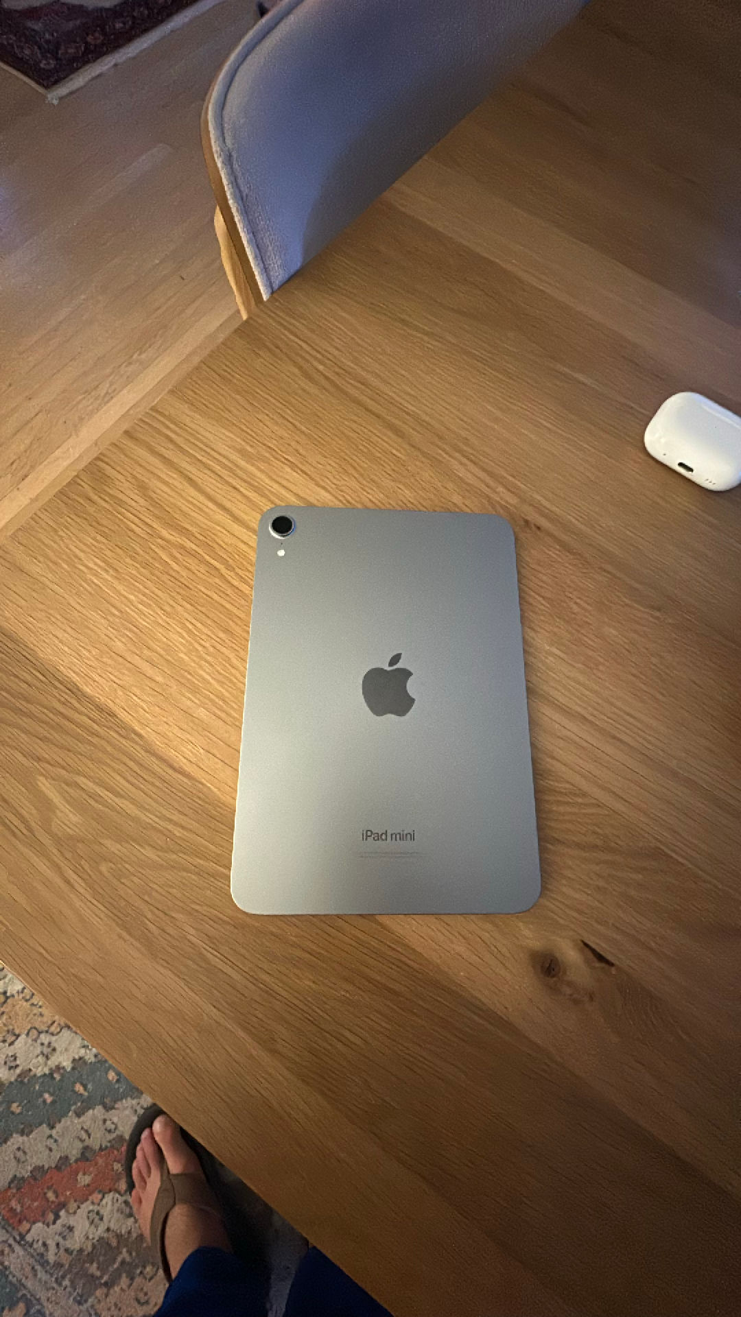 iPad Mini