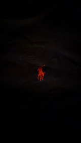 Polo Ralph Lauren Long Sleeve T-Shirt - Image 2