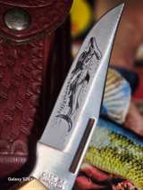 1978 Case XX USA P159 LSSP 2 Dot  Hammerhead Pocket Knife W/ Original Sheath - Image 3