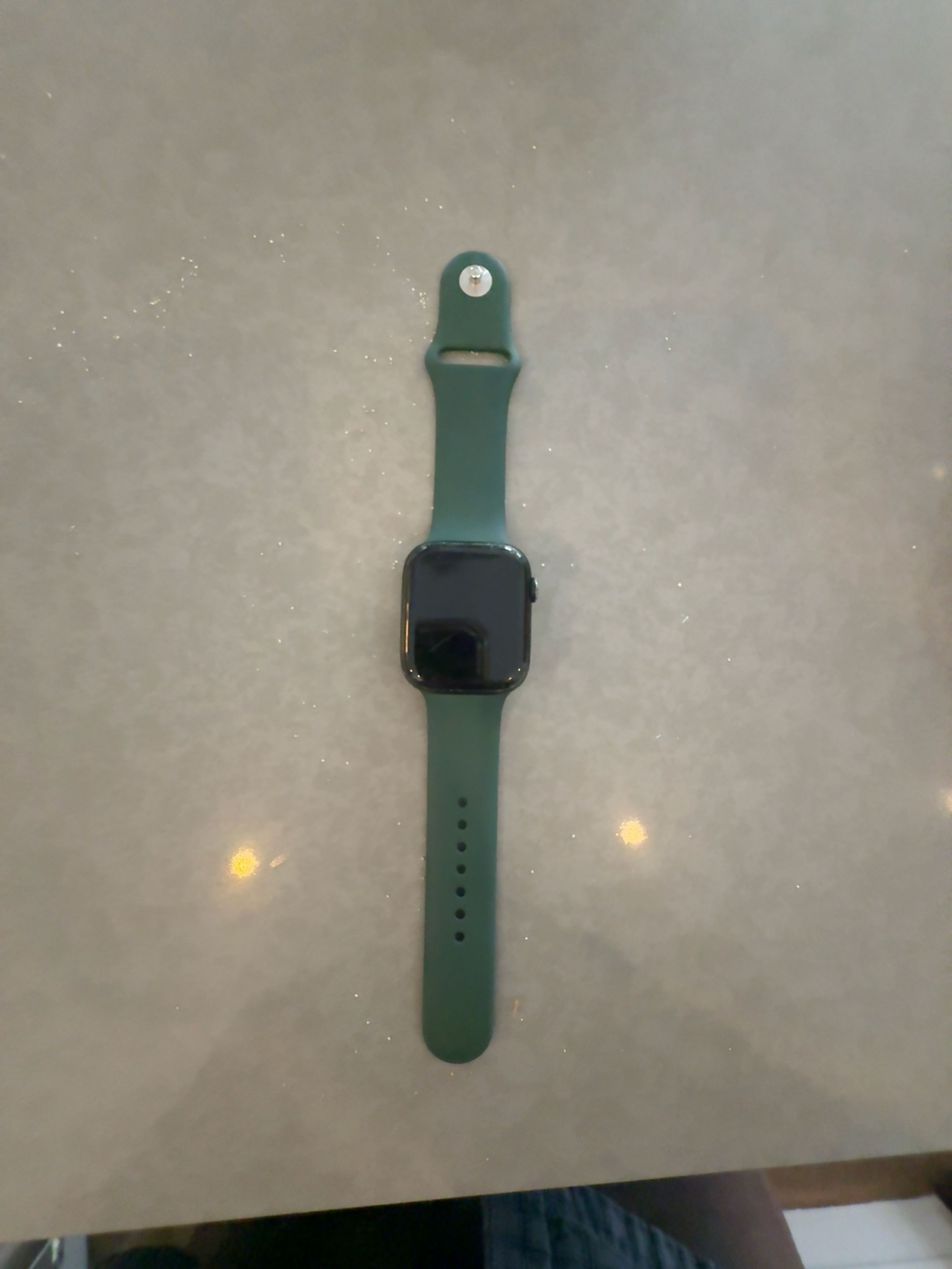 Apple Watch Series 7 45mm Aluminum Case