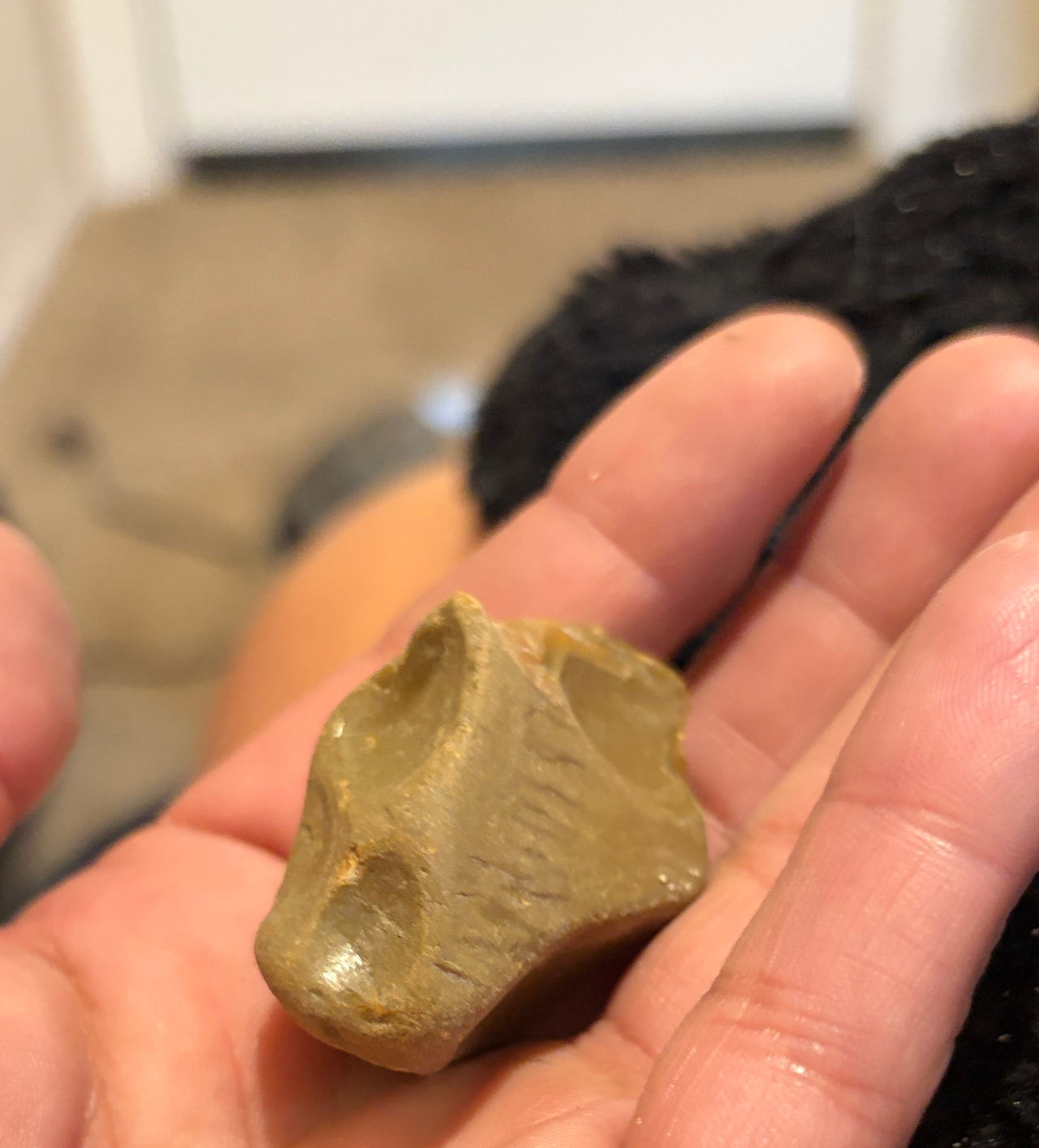 Native American Chert Lithic Tool/Debitage
