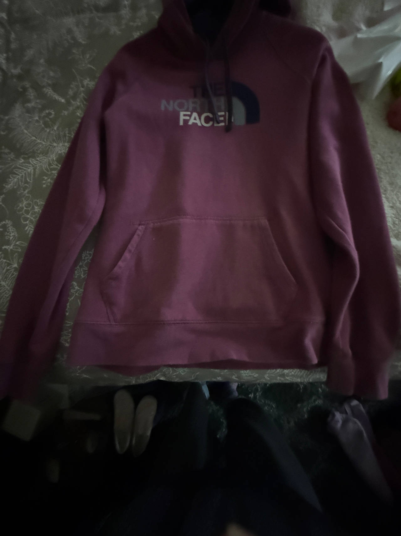 The North Face Pullover Hoodie