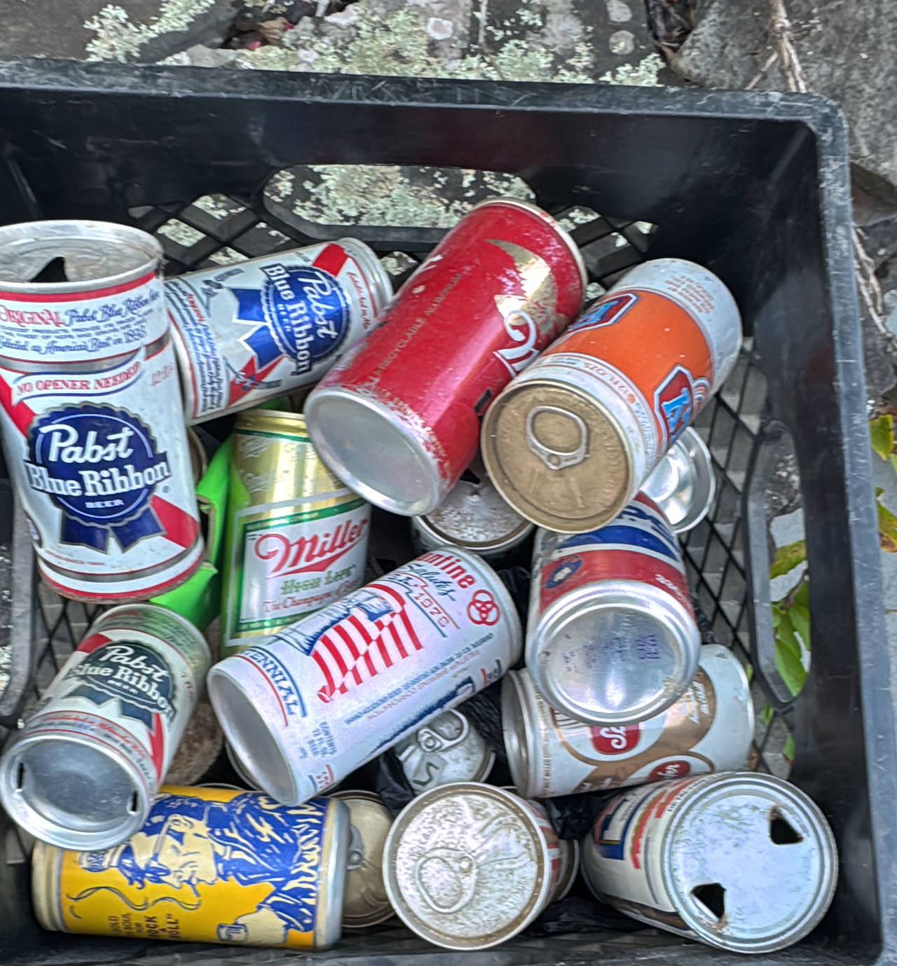 Vintage Pull Tab Beer Can Collection