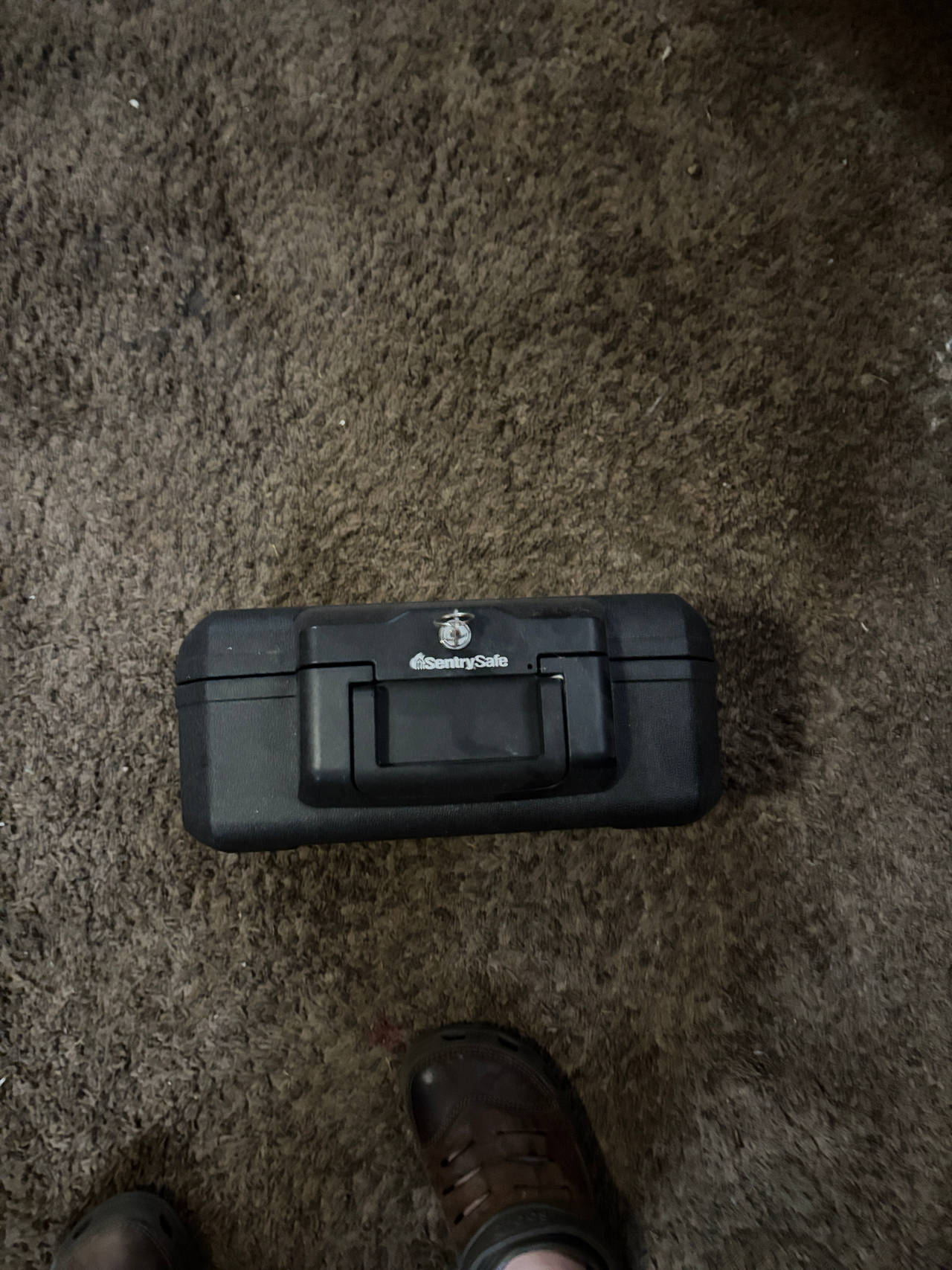 SentrySafe Fireproof Safe Box