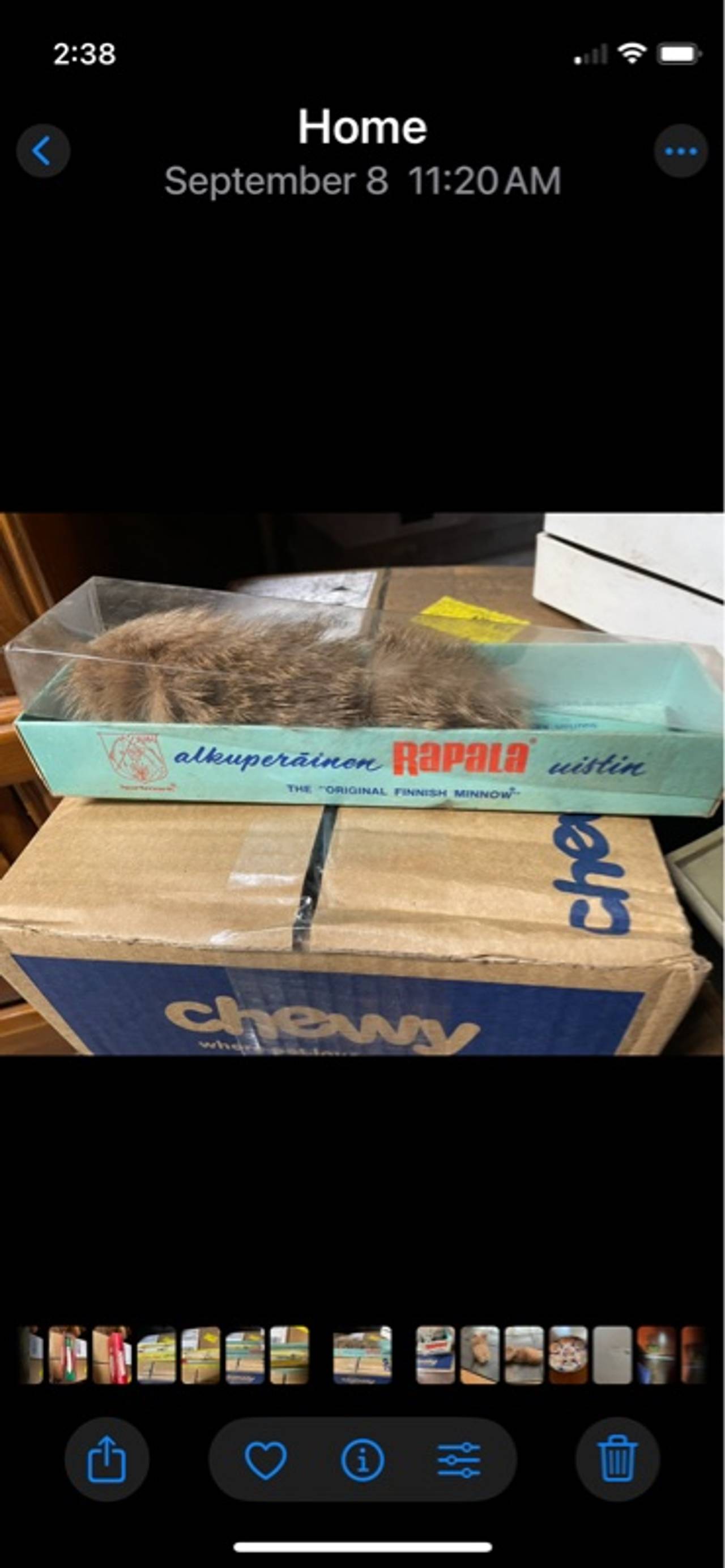 Rapala CD-9 G Gold Sinking Minnow Lure