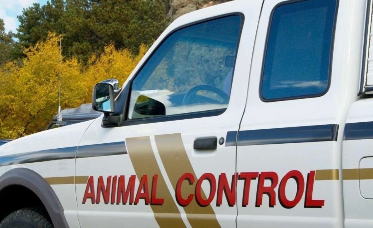 Animal Control Truck
