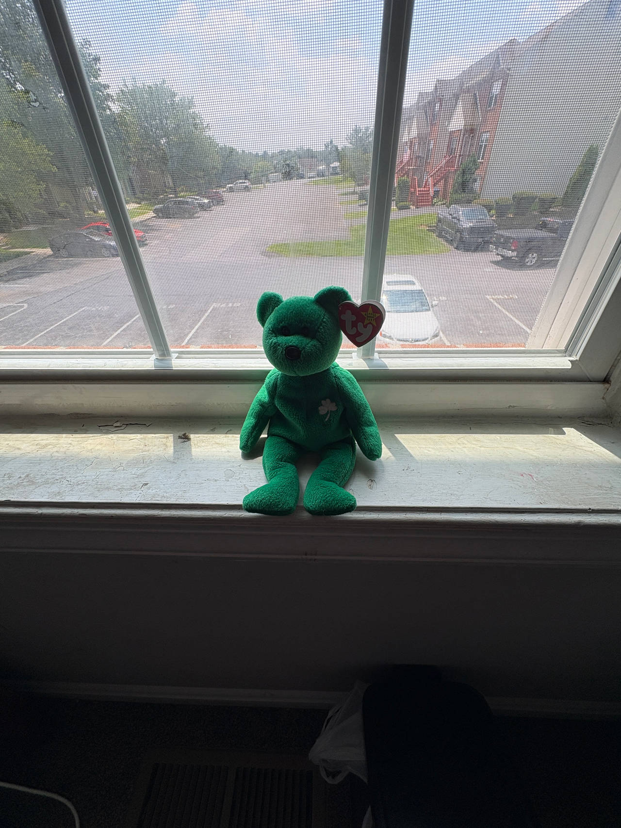 Ty Beanie Baby Erin the Bear